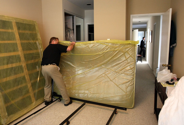 A1 Bed Bug Exterminator Scarborough | 238 Bonis Ave, Scarborough, ON M1T 3W7, Canada | Phone: (647) 492-1864