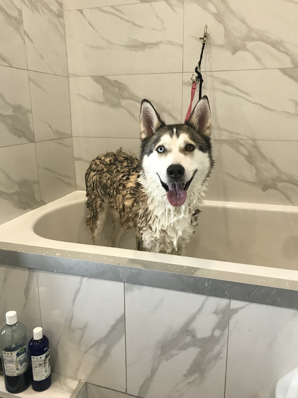 Spa Hôtel Le Canin | 5827 Chem. Beaudette, Sherbrooke, QC J1N 3B8, Canada | Phone: (819) 679-2999