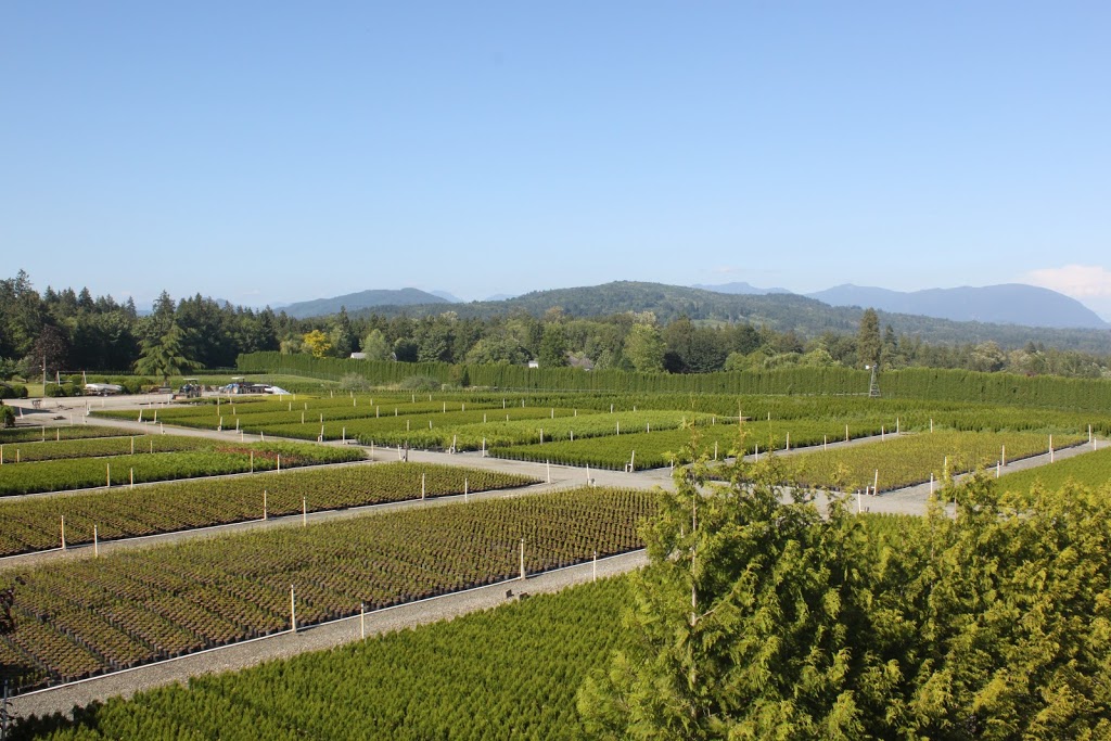 Camson Creek Cedars | 29219 Sangara Ave, Abbotsford, BC V4X 2G3, Canada | Phone: (604) 857-5614