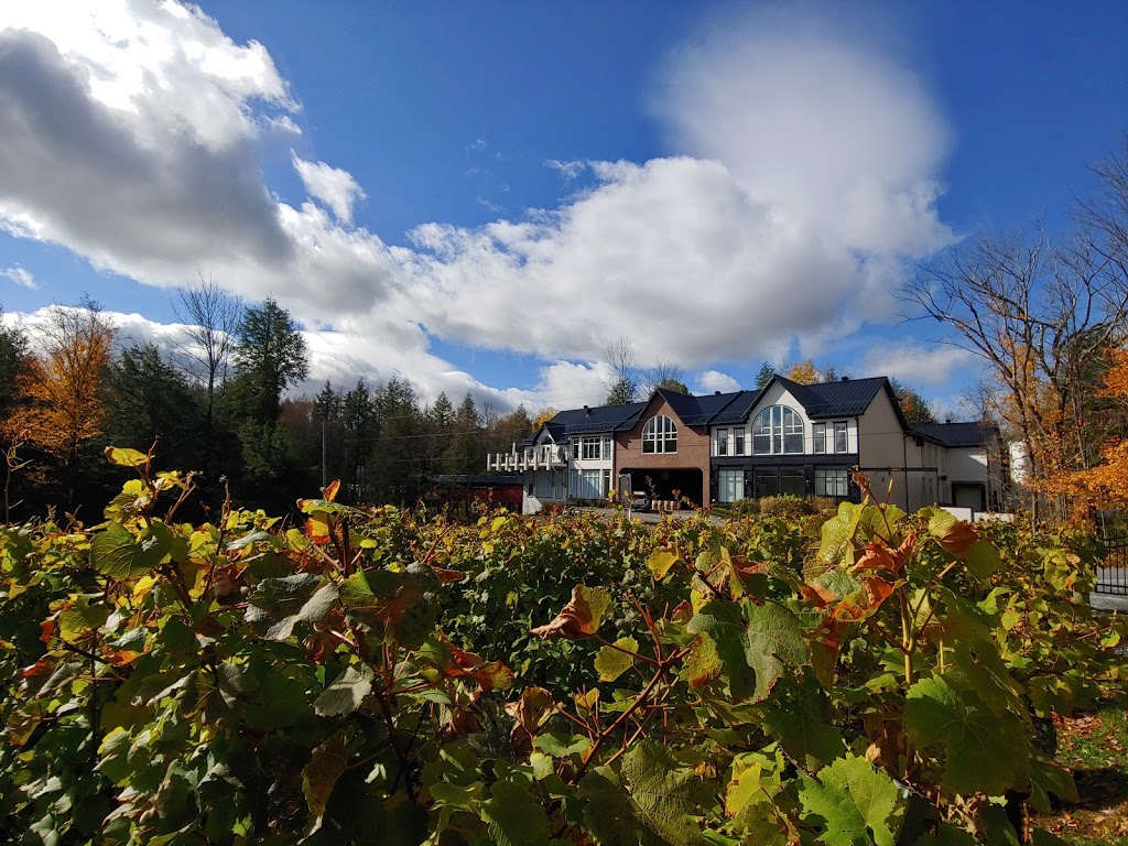 Le Vignoble du Ruisseau | 4500 Chemin Strobl, Dunham, QC J0E 1M0, Canada | Phone: (450) 538-3782