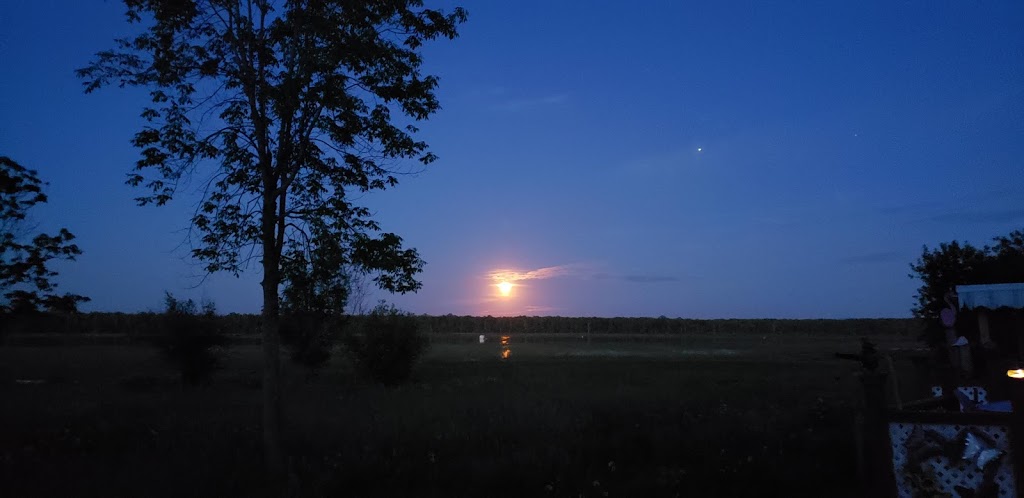 Campbell’s Bay Campground | 205 Campbell Bay Rd, Swanton, VT 05488, USA | Phone: (802) 868-0405