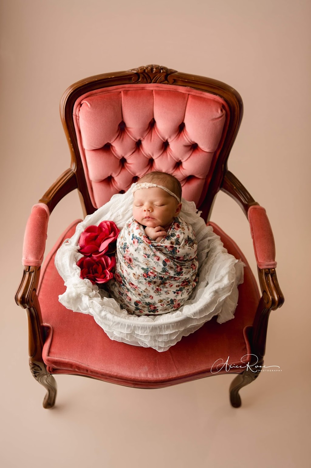 Alice Rose Photography | Box 211, 144 Hawk Eye Rd, Bragg Creek, AB T0L 0K0, Canada | Phone: (403) 808-4661