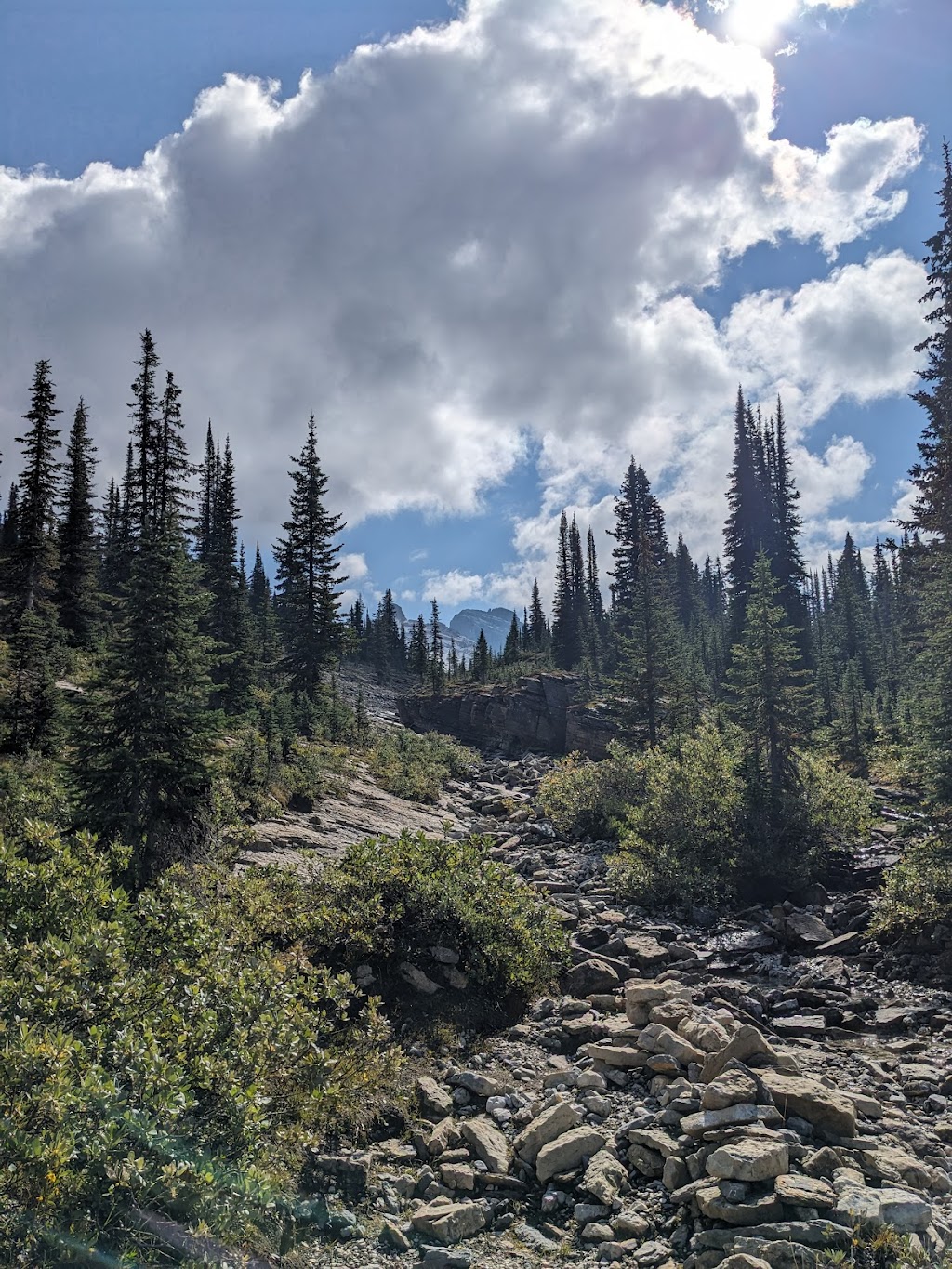Amiskwi Lodge | Columbia-Shuswap, BC V0A 1H1, Canada | Phone: (913) 912-6942