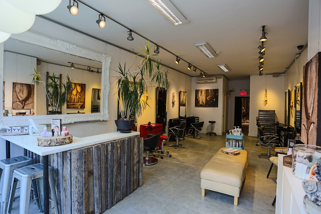 Tête du Toro | Canada, 4661 R. Notre Dame O #101, Montréal, QC H4C 1S7, Canada | Phone: (514) 808-0215