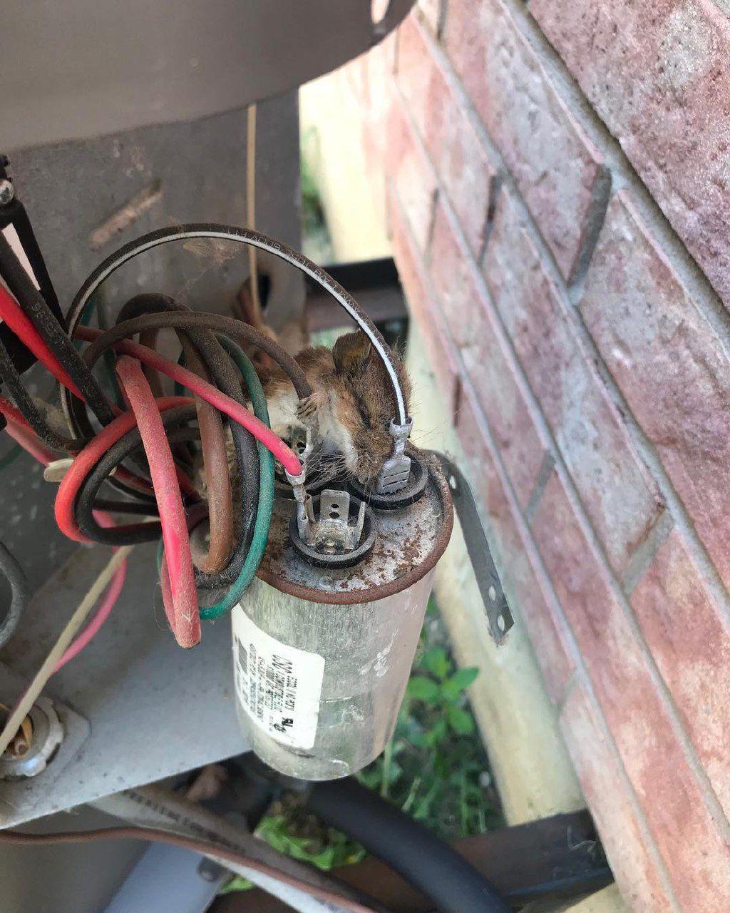 Majestic Fix Services Inc | 7250 Keele St Unit 344, Concord, ON L4K 1Z8, Canada | Phone: (647) 649-2325