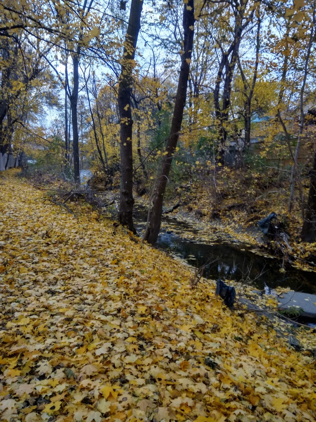 Rexdale Park | 143 Elmhurst Dr, Etobicoke, ON M9W 4A3, Canada | Phone: (416) 338-4386