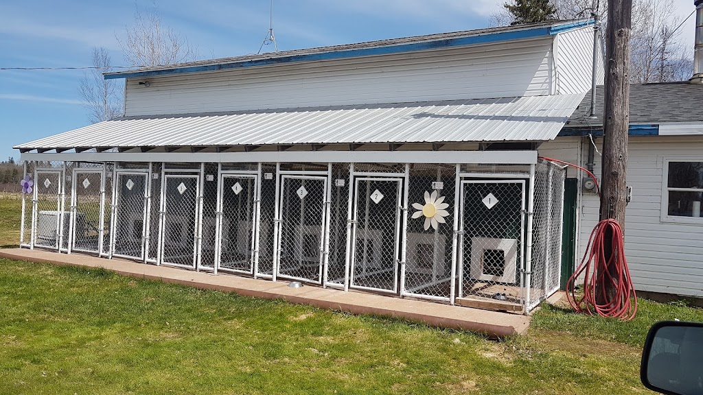 Lillian Allbon Animal Shelter | 798 Smith Rd, Amherst, NS B4H 3Y4, Canada | Phone: (902) 661-7297