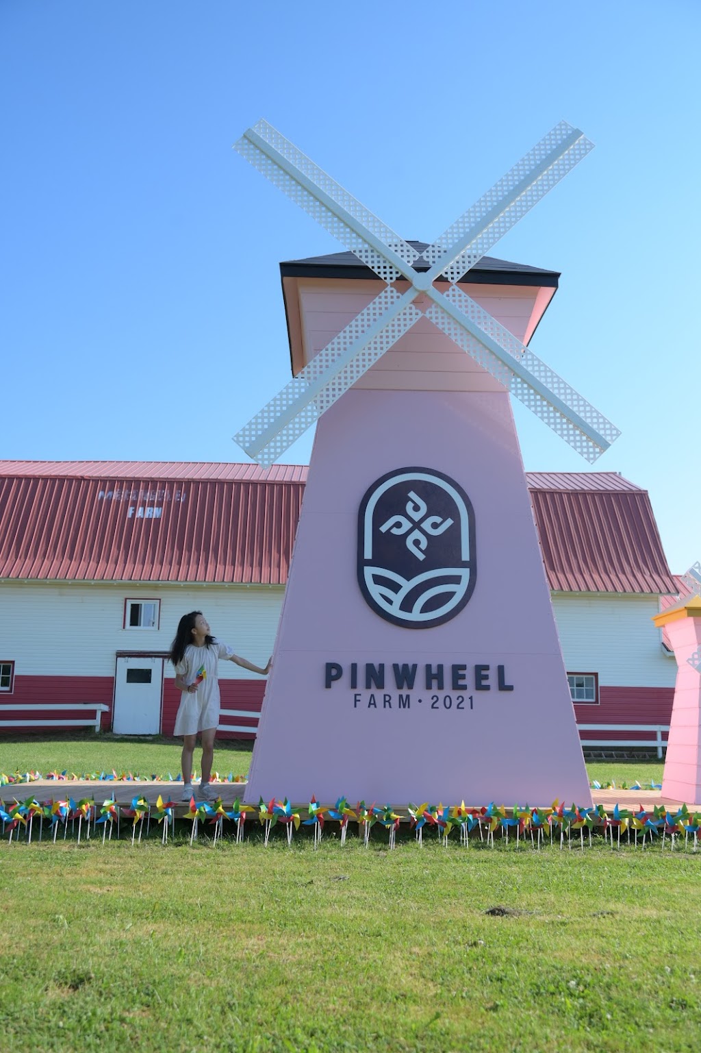 Pinwheel Farm PEI | 17208 All Weather Hwy, Milton Station, PE C1E 0W9, Canada | Phone: (782) 377-6714