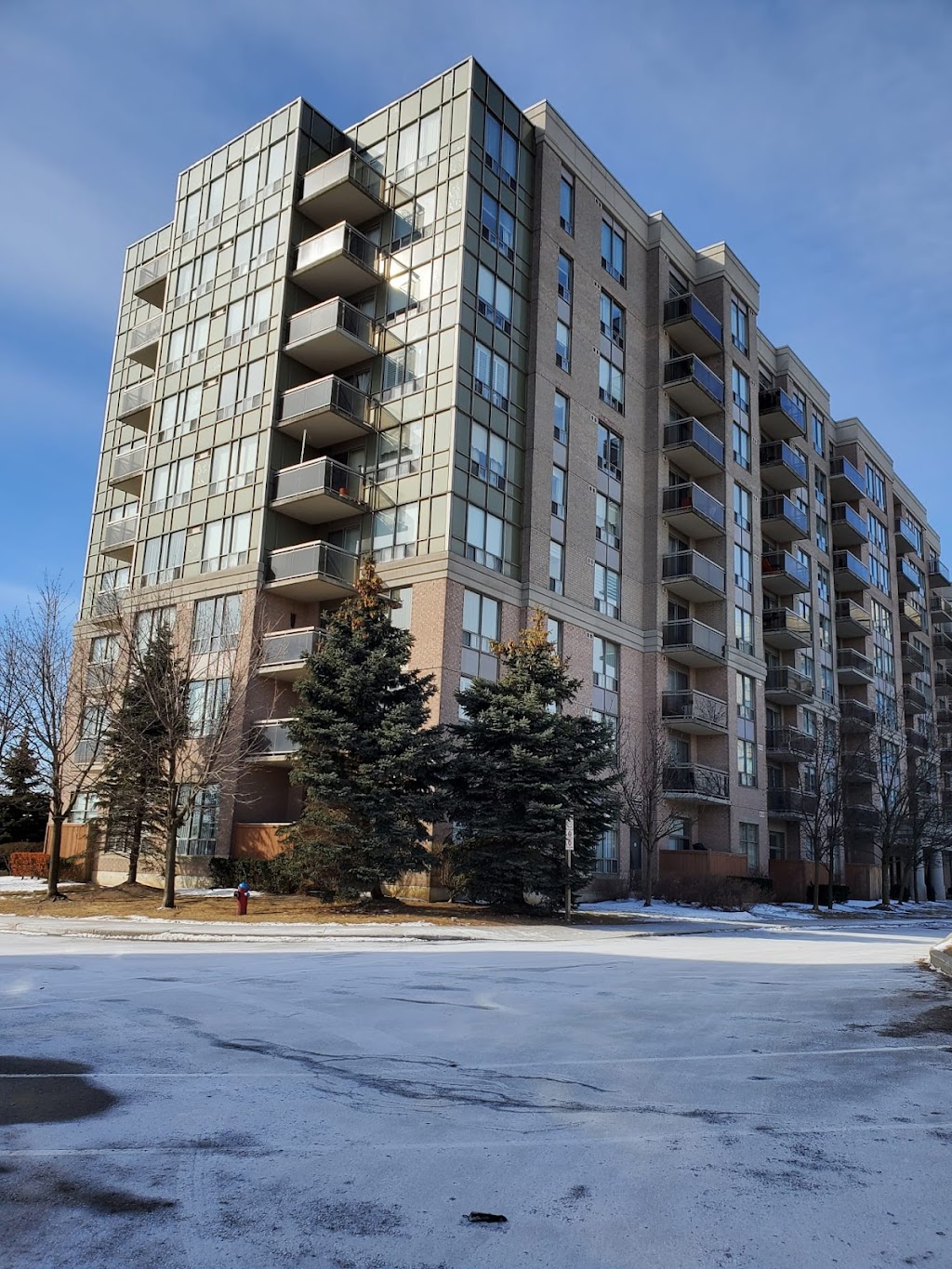 MV Real Estate Team - Toronto Barrie Real Estate Agents | 67 Brennan Ave, Barrie, ON L4N 4B2, Canada | Phone: (647) 544-7686