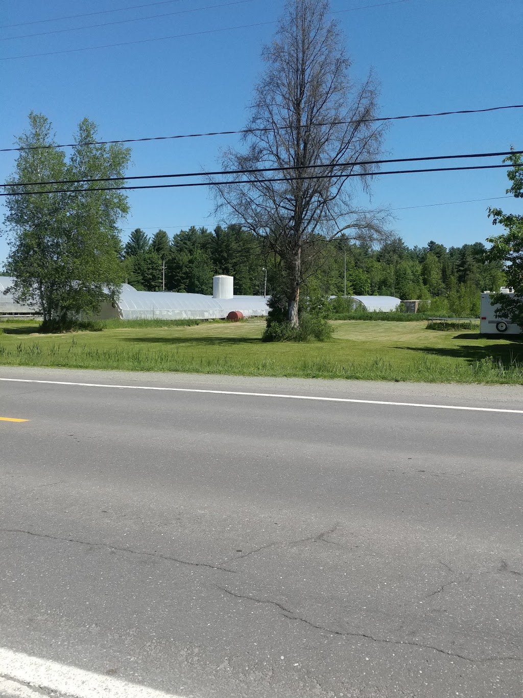 Les Serres Traversy | 4996 Boulevard Saint-Joseph, Saint-Nicéphore, QC J2A 3V8, Canada | Phone: (819) 479-1935