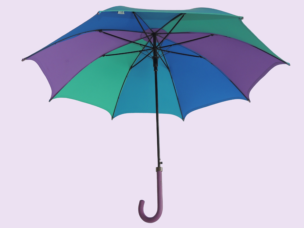 Barrington Brolly | By appointment only: 664, Bay Rd, Gibsons, BC V0N 1V8, Canada | Phone: (877) 727-2765