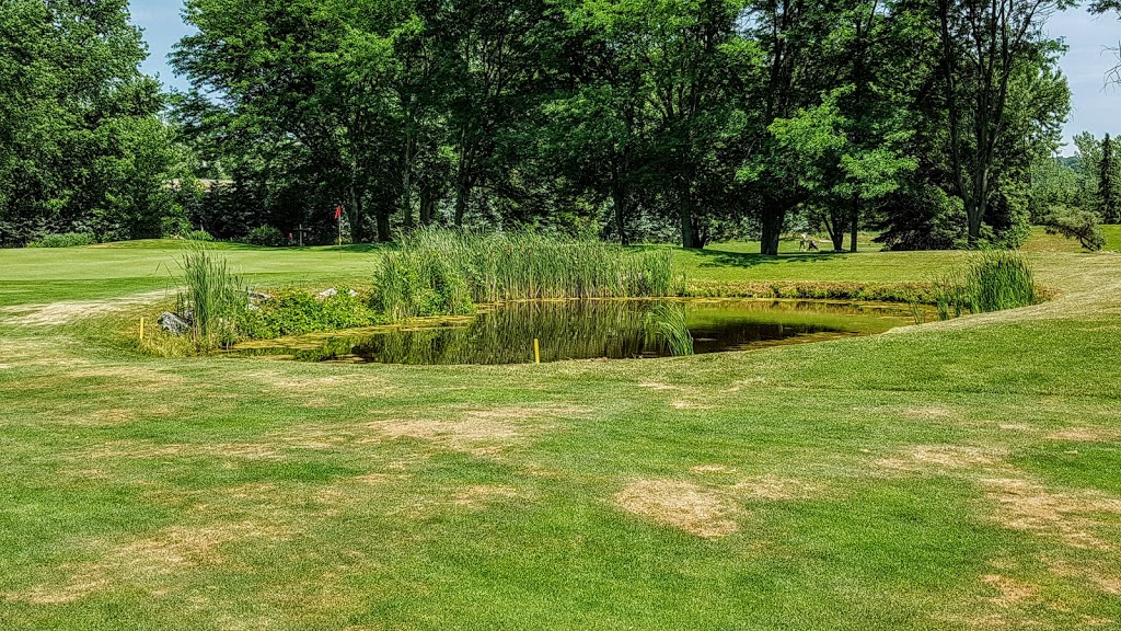Queenston Golf Club | 269 Progressive Avenue, Queenston, ON L0S 1L0, Canada | Phone: (905) 262-4528