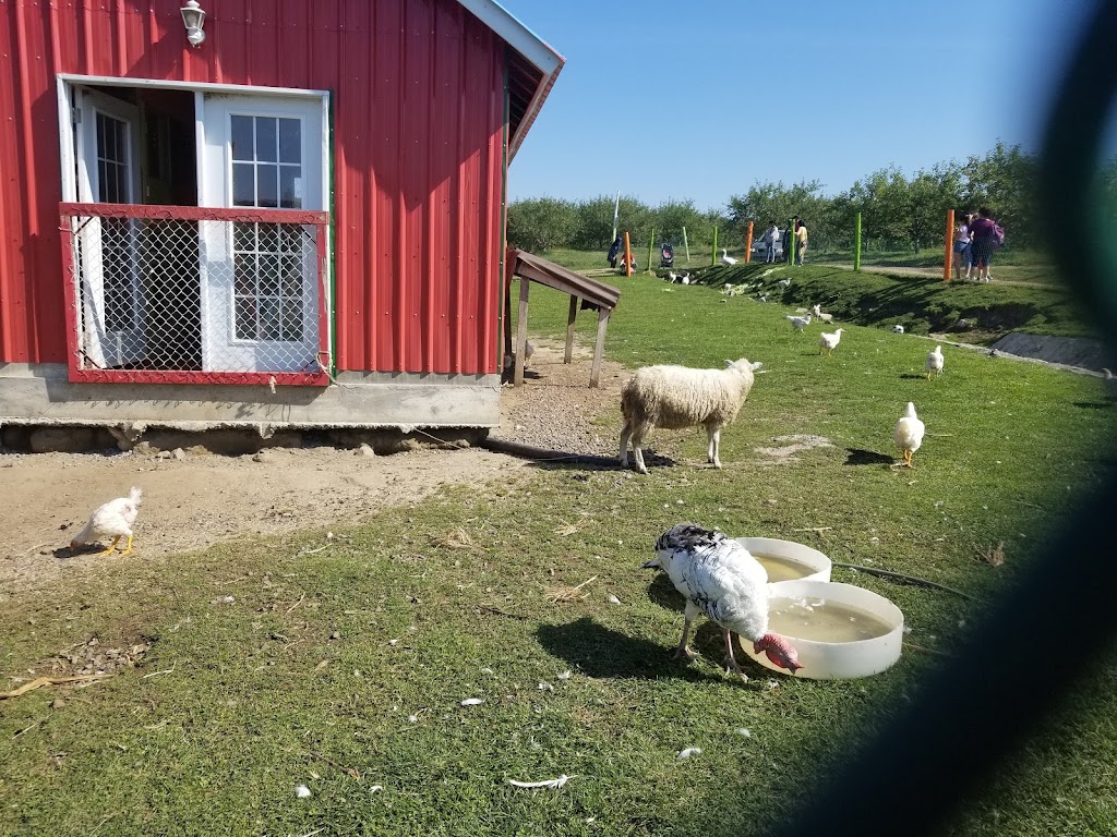Verger Saab | 29 Rang Sainte-Sophie, Oka, QC J0N 1E0, Canada | Phone: (450) 479-6125