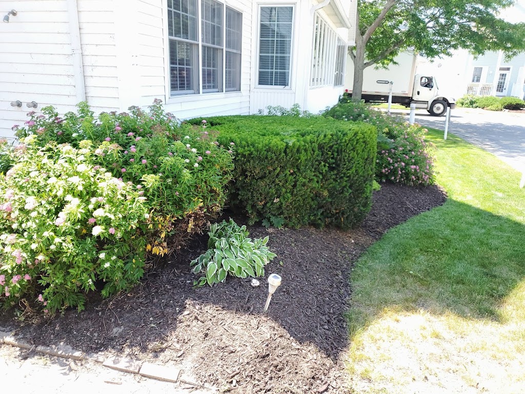 Green King Landscaping All Year Long | 28 Wiltshire Blvd, Welland, ON L3C 3K9, Canada | Phone: (289) 440-4909