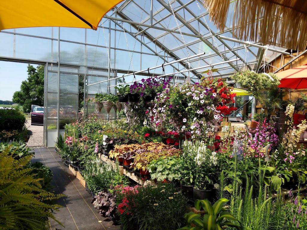 Sams Place Farm Market | 4665 Hwy 24, Scotland, ON N0E 1R0, Canada | Phone: (519) 446-9992
