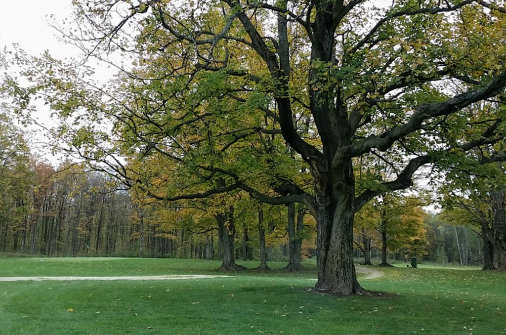 The Ferns Golf Resort | West Grey, ON N0C 1H0, Canada | Phone: (519) 986-3200