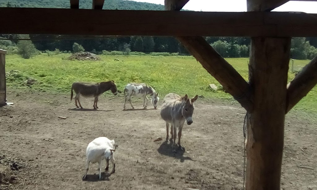 Ferme Dada Do | 60 Chemin Boisvert, Danville, QC J0A 1A0, Canada | Phone: (514) 972-1878