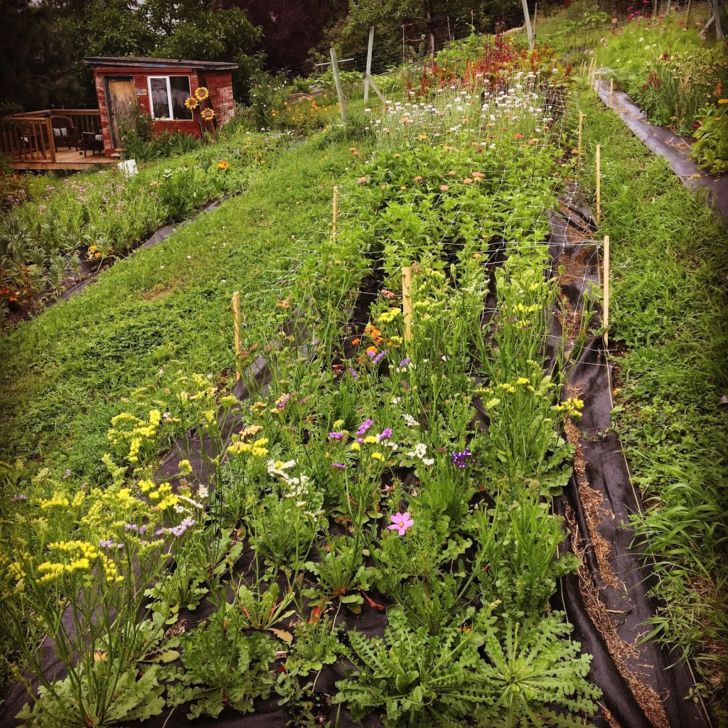 DuncanDale Music Studios | 14774 Oyama Rd, Lake Country, BC V4V 2C7, Canada | Phone: (250) 548-9218