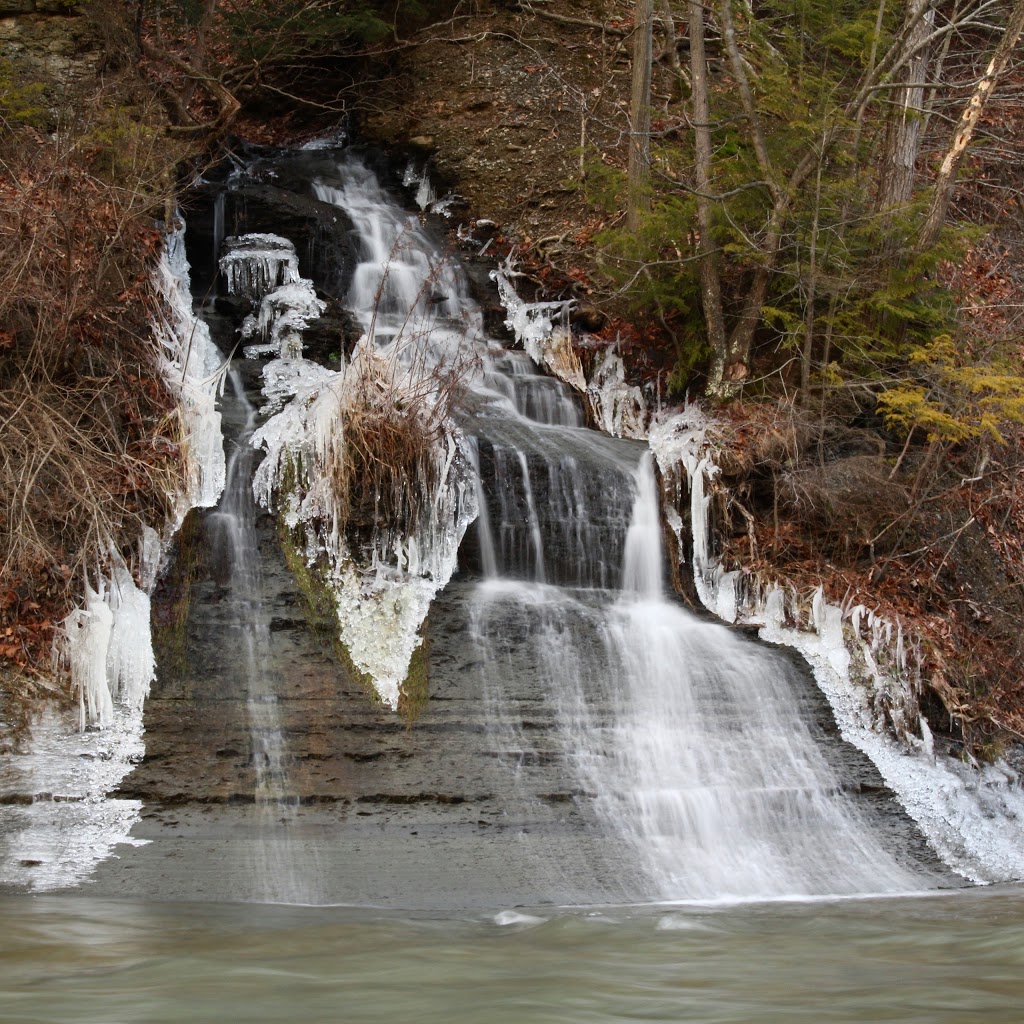 West Falls JP Nicely Park | 525 W Falls Rd, West Falls, NY 14170, USA