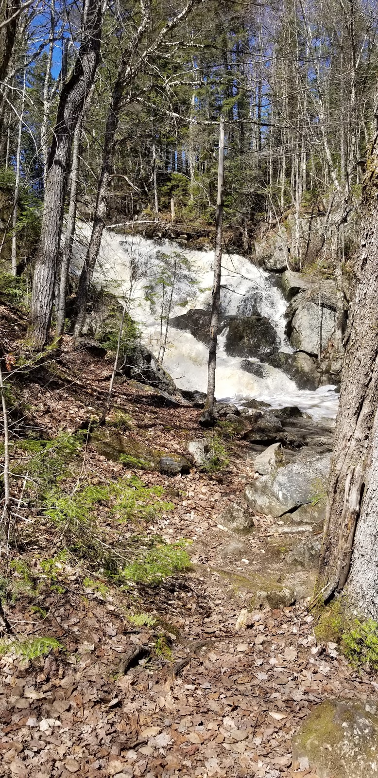Chute à lOurs | Saint-Léonard-de-Portneuf, QC G0A 4A0, Canada