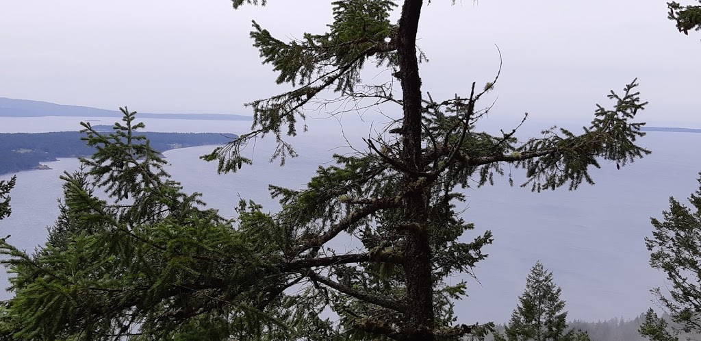 Turtleback Mountain North Trailhead | Crow Valley Rd, Eastsound, WA 98245, USA