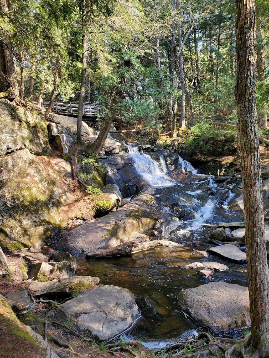 Sky Blue Cottage Retreat | 1130 Lone Pine Dr, Bracebridge, ON P1L 1X4, Canada | Phone: (647) 988-8209