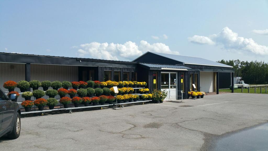 Freskiws | 10711 ON-12, Coldwater, ON L0K 1E0, Canada | Phone: (705) 835-3207