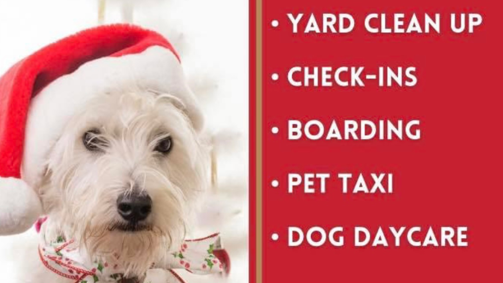 Rentz & Rover Pet Services | 10714 97 Ave, Morinville, AB T8R 1E3, Canada | Phone: (780) 803-3225