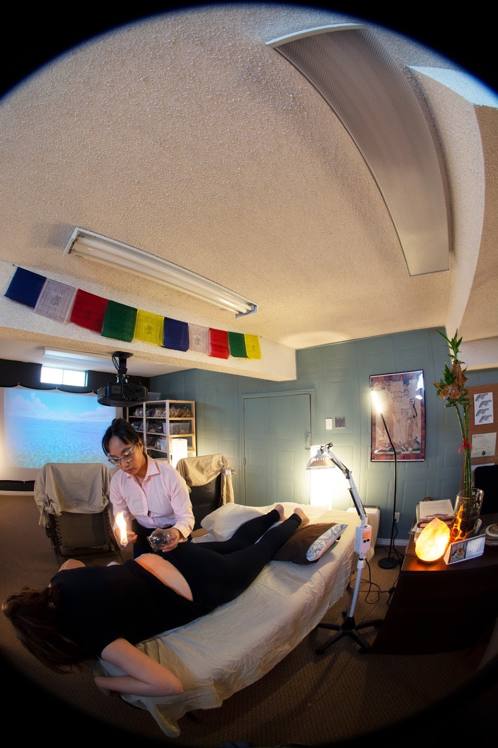 Trillium Chinese Medicine | 38 Grand Ave S, Cambridge, ON N1S 2L6, Canada | Phone: (519) 622-0770