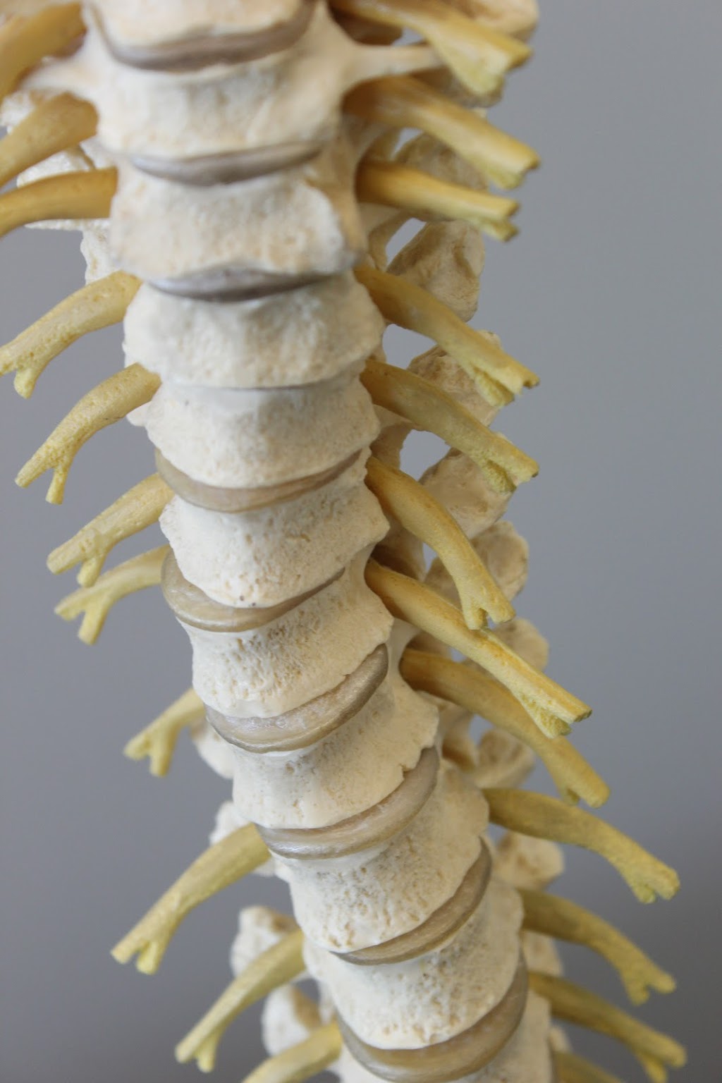 Physio Outaouais | 499 Boulevard Labrosse #105, Gatineau, QC J8P 4R1, Canada | Phone: (819) 643-3337