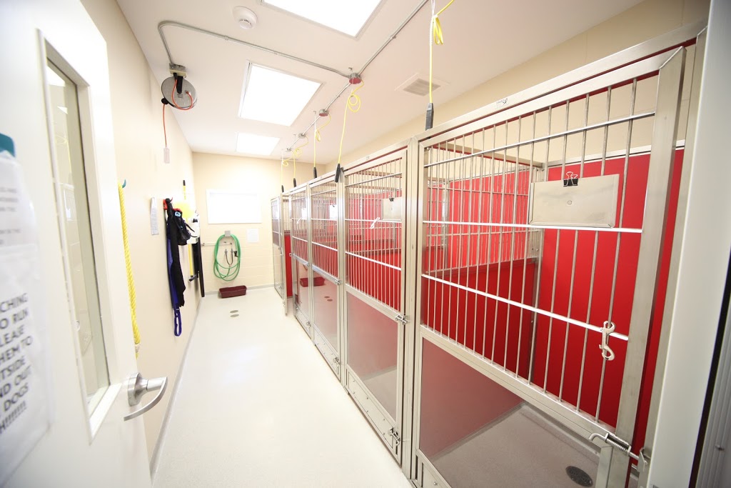 Spruce Grove Veterinary Clinic | 5 South Ave, Spruce Grove, AB T7X 3A5, Canada | Phone: (780) 962-3233
