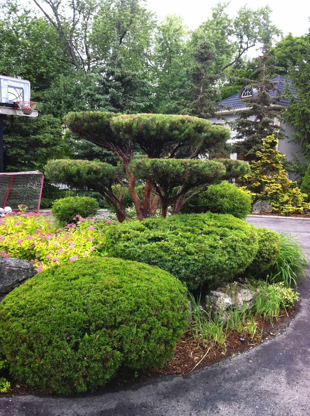 Gardenview Greens Care | 128 Queen St S, Mississauga, ON L5M 1K8, Canada | Phone: (905) 816-1271