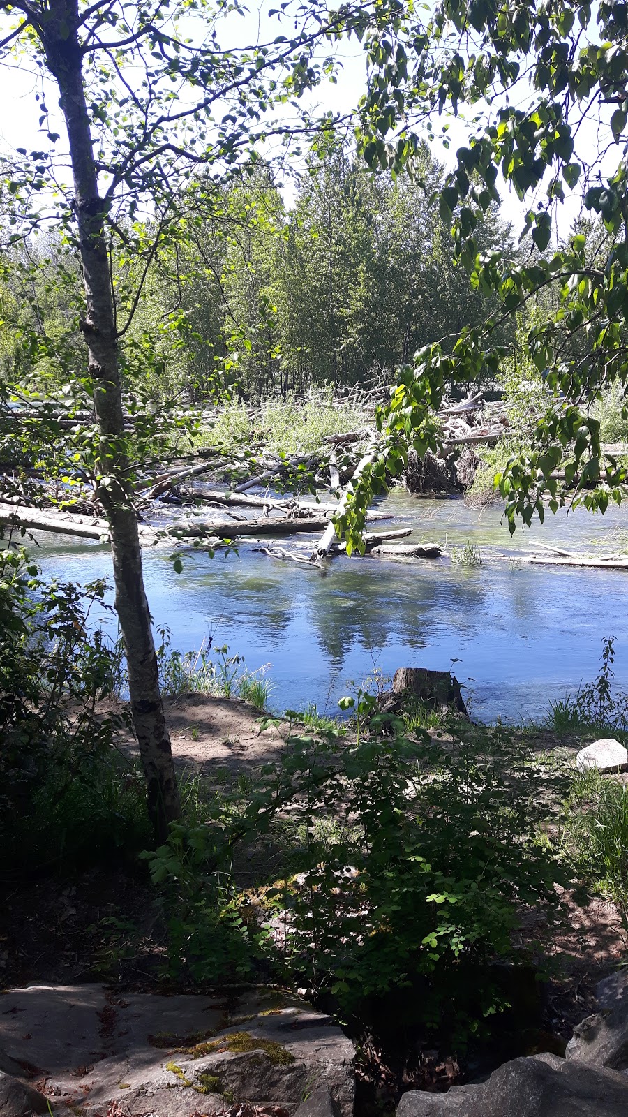 Riverside Cabins | 3065 Allenby Rd, Duncan, BC V9L 6V8, Canada | Phone: (250) 746-4352