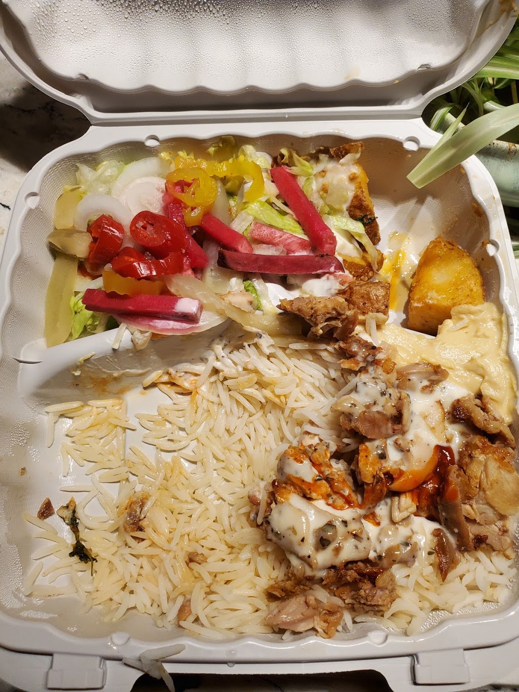 Pita Land Eglinton | 30 Eglinton Ave W, Mississauga, ON L5R 3E7, Canada | Phone: (905) 755-1111