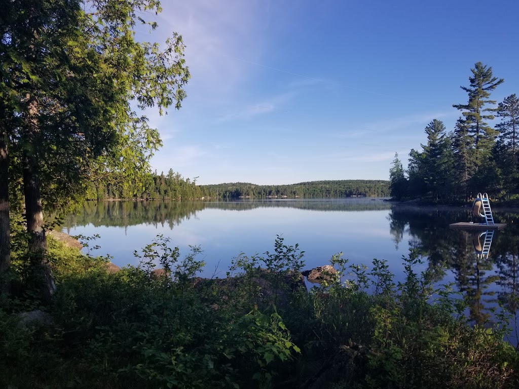 Olive The Lake Lodge | 12 Richfield Road, Marten River, ON P0H 1T0, Canada | Phone: (705) 892-2204