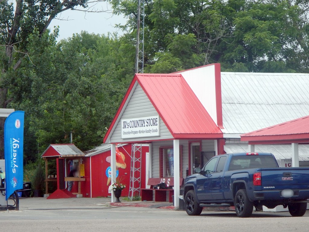Esso | 462 Chenaux Rd, Foresters Falls, ON K0J 1V0, Canada | Phone: (613) 432-9053