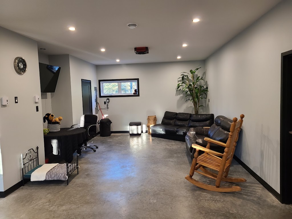 Pension canine chez Clyde et Dumbo | 382Boulevard du Royaume, Larouche, QC G0W 1Z0, Canada | Phone: (418) 290-3865