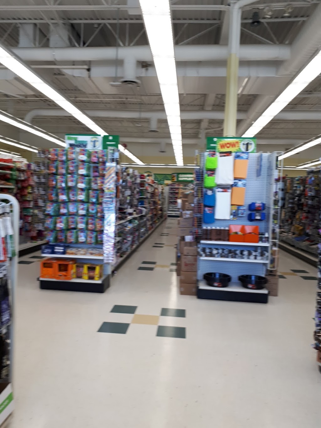 Dollar Tree | 300 King George Rd j1, Brantford, ON N3R 5L8, Canada | Phone: (519) 752-8088