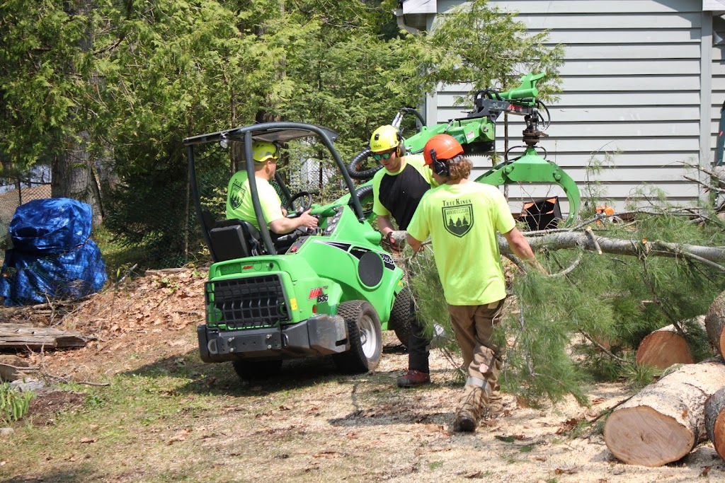 TreeKings Arboriculture Inc. | 1414 Caribou Rd, Minden Hills, ON K0M 1S0, Canada | Phone: (705) 457-5716