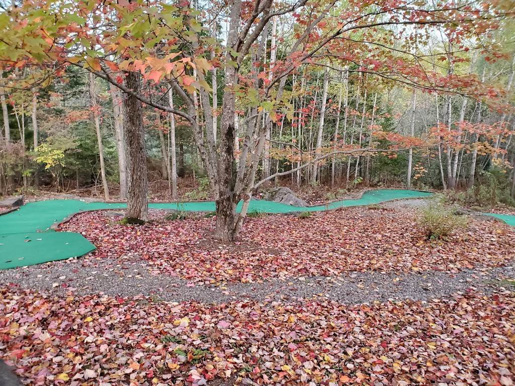 Fire Fly Recreation | 64 Robertson Rd, Hampton, NB E5N 6N8, Canada | Phone: (506) 832-3200