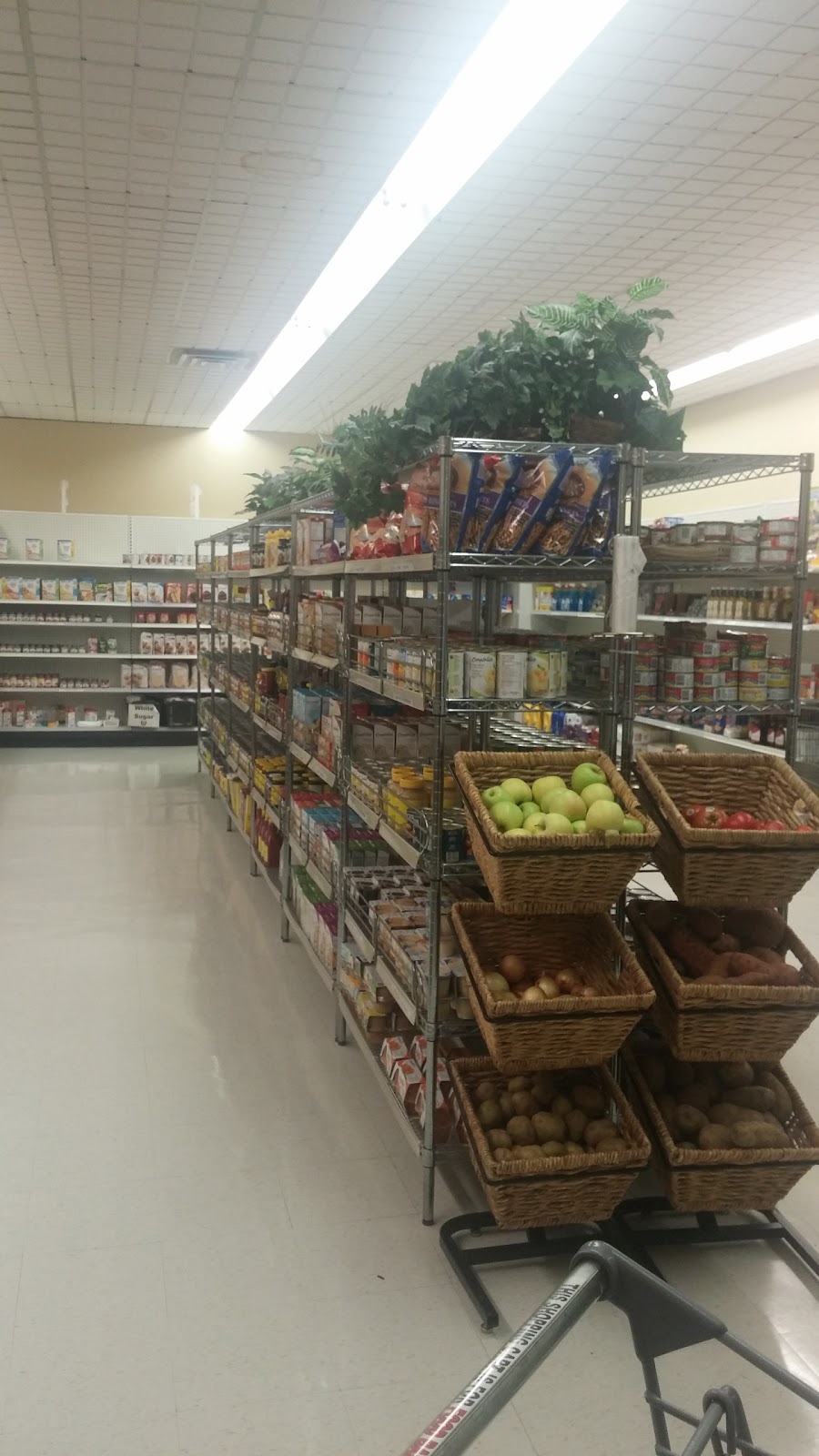GBF Community Services | 40 Elm St, Grimsby, ON L3M 4R7, Canada | Phone: (905) 309-5664