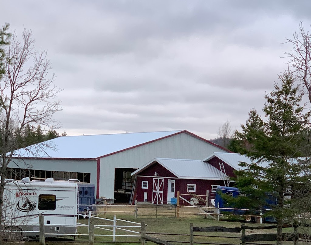 Fondation Équestre Red Robin | 6939 QC-309, LAnge-Gardien, QC J8L 2W9, Canada | Phone: (819) 766-2110