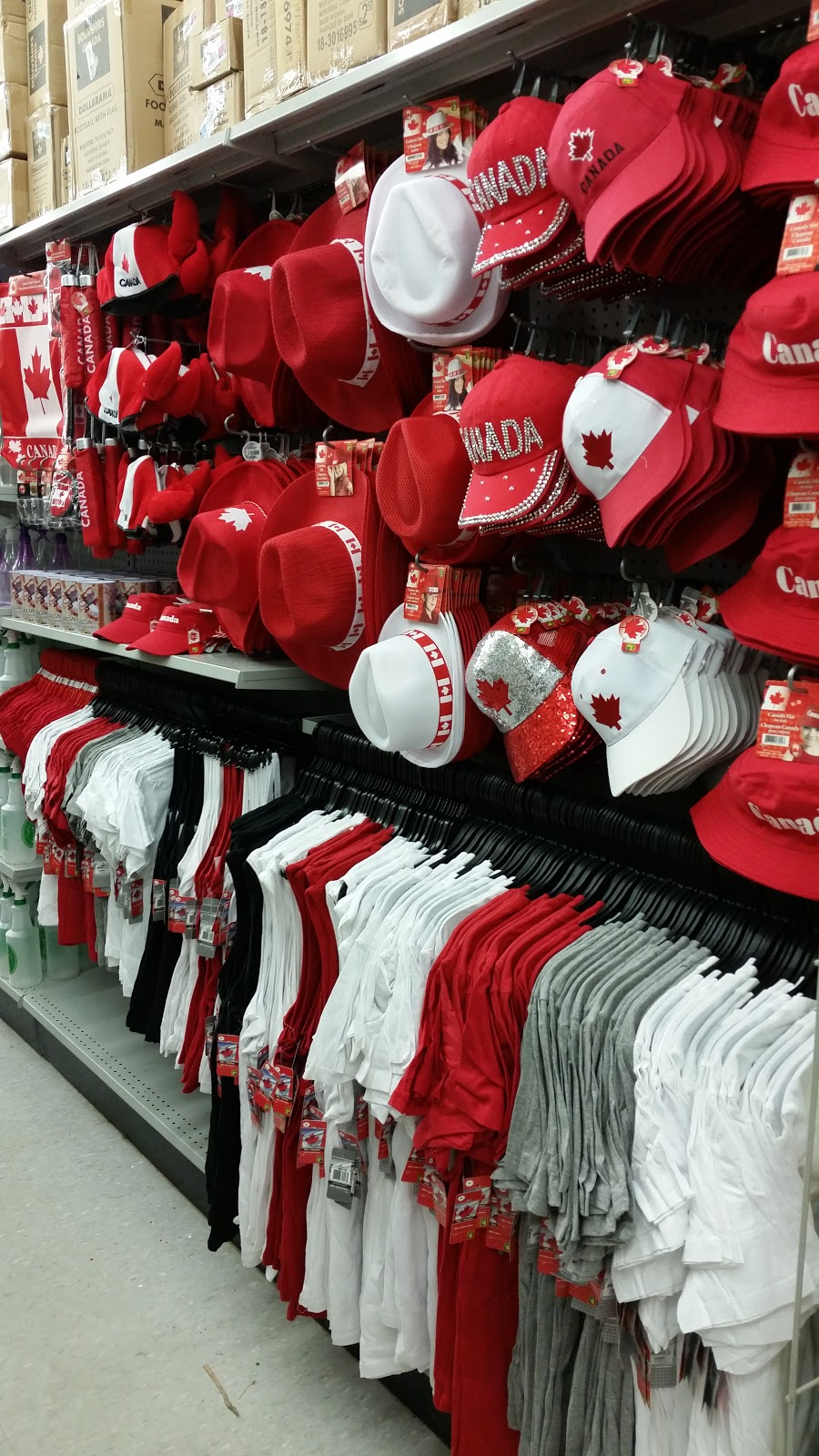 Dollarama | 235 Guelph St, Georgetown, ON L7G 4A8, Canada | Phone: (905) 873-0379