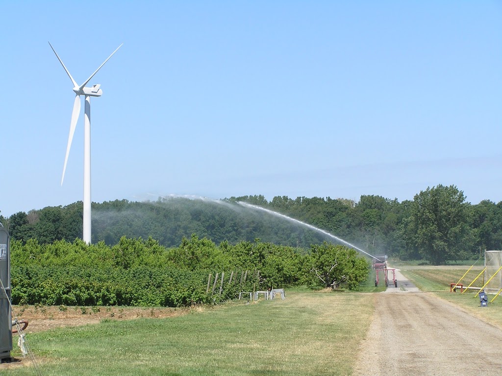 Pardos Berrie Farm | 7951 Talbot Trail, Blenheim, ON N0P 1A0, Canada | Phone: (519) 676-2008