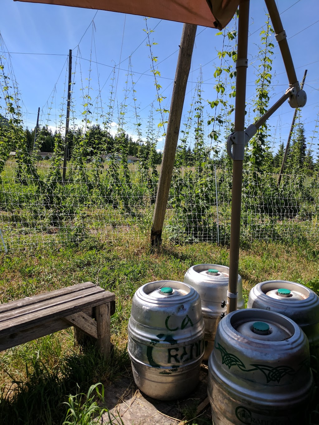 Crannog Ales | 706 Elson Rd, Sorrento, BC V0E 2W1, Canada | Phone: (250) 675-6847