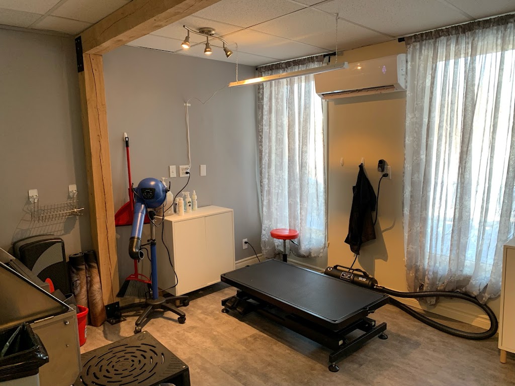 Douceurs Canines | 57 Rue du Pont, Bedford, QC J0J 1A0, Canada | Phone: (450) 248-4148