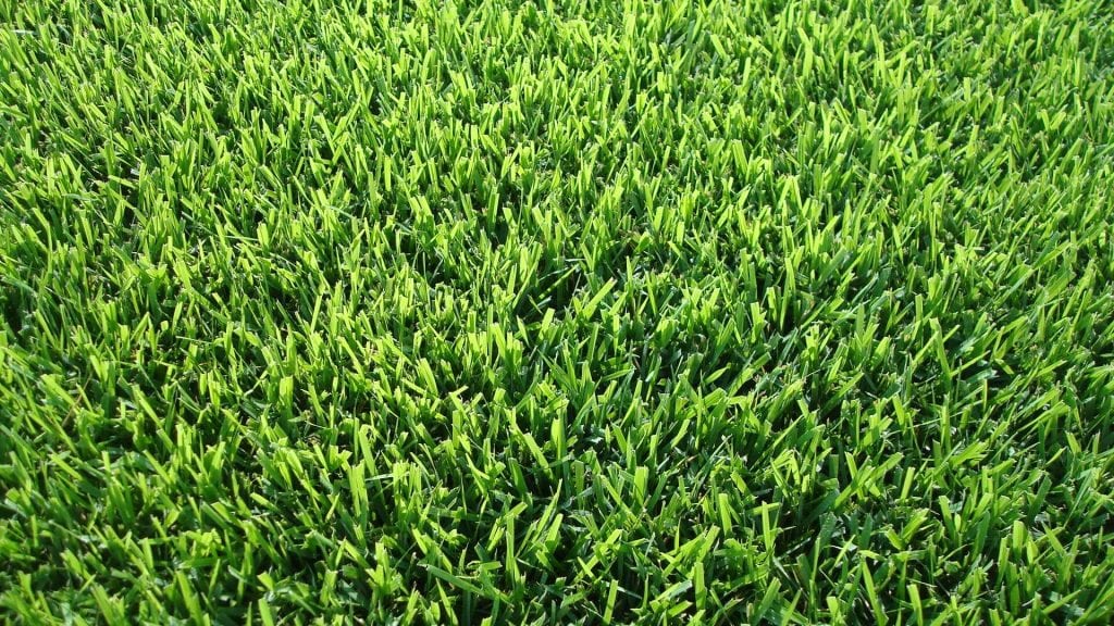 Greener Grass Lawn & Property Maintenance | 233 Nobel Rd, Nobel, ON P0G 1G0, Canada | Phone: (647) 637-8615