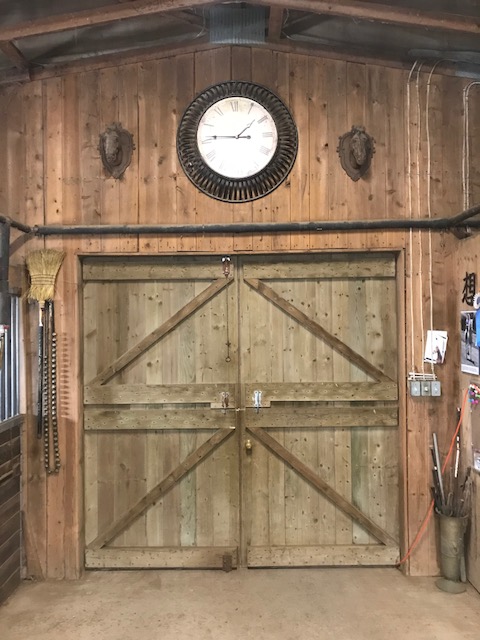 Mahogany Bay Stables | 1072 Concession 11 Townsend, Waterford, ON N0E 1Y0, Canada | Phone: (519) 410-1629