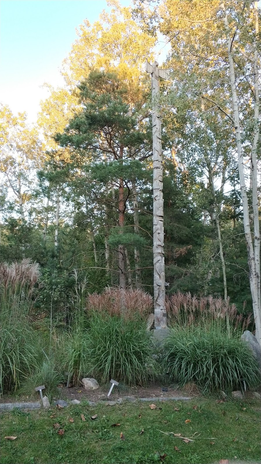 South Innisfil Arboretum | 1474 Shore Acres Dr, Gilford, ON L0L 1R0, Canada