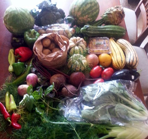 RC Organic Farms | 2022, 37400 30 Mile Rd, New Haven, MI 48050, USA | Phone: (989) 550-5223